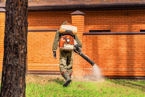 Bed Bug Clearance Verification and Documentation in Satsuma